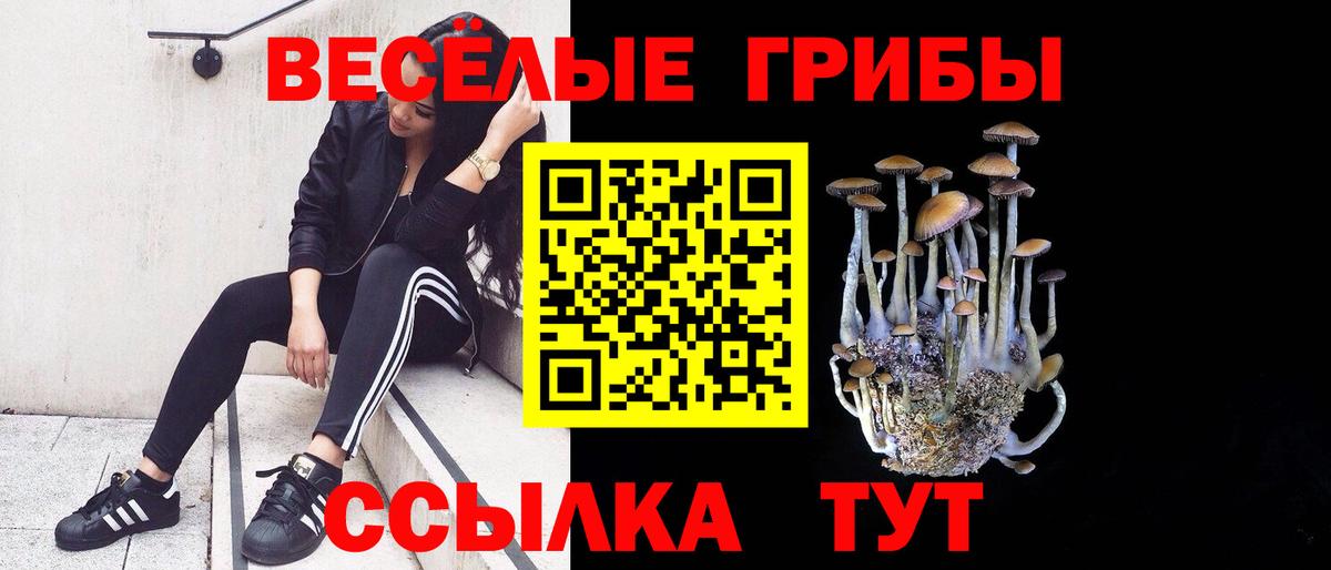 Псилоцибиновые грибы прущие грибы Краснознаменск